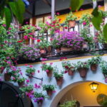Córdoba: Guided tour in Spanish to the courtyards of Córdoba - The Value of the Tour