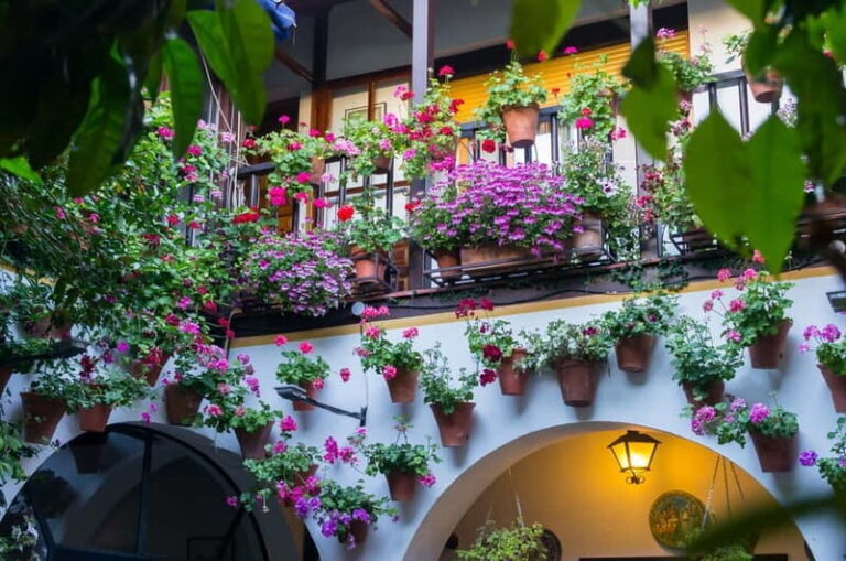 Córdoba: Guided tour in Spanish to the courtyards of Córdoba - The Value of the Tour