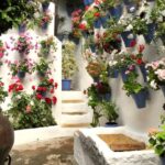 Córdoba: Guided Tour of the Patios - Final Thoughts: Is It Worth It?