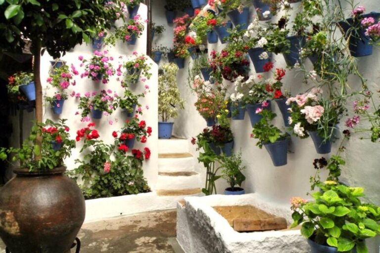 Córdoba: Guided Tour of the Patios - Final Thoughts: Is It Worth It?