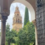 Cordoba Highlights Private Walking Tour - An In-Depth Look at the Córdoba Highlights Private Walking Tour