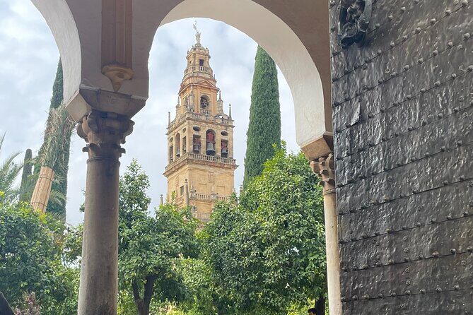 Cordoba Highlights Private Walking Tour - An In-Depth Look at the Córdoba Highlights Private Walking Tour