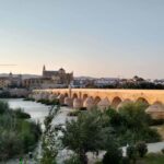Córdoba Highlights Walking Tour - What You’ll Experience Walking Through Córdoba’s Narrow Streets