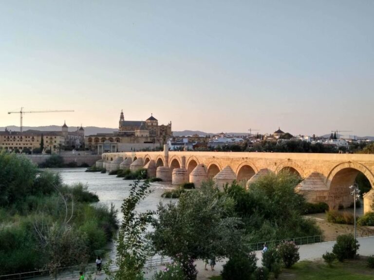 Córdoba Highlights Walking Tour - What You’ll Experience Walking Through Córdoba’s Narrow Streets