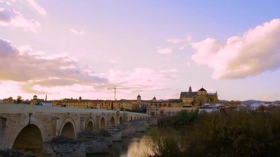 Cordoba: Historical Monuments of Cordoba City Walking Tour - Who Will Love This Tour?