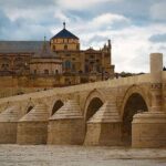 Cordoba private tour from Granada for up to 8 persons including the great Mosque - Practical Details and Tips