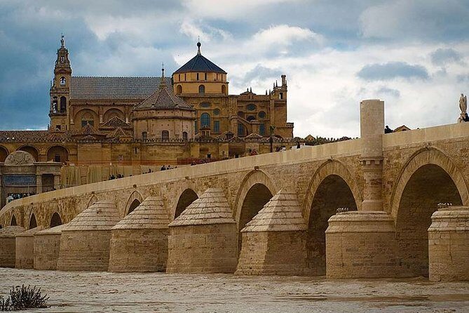 Cordoba private tour from Granada for up to 8 persons including the great Mosque - Practical Details and Tips