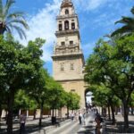 Cordoba - Private Tour including visit to the Fortress - Practicalities and What to Expect