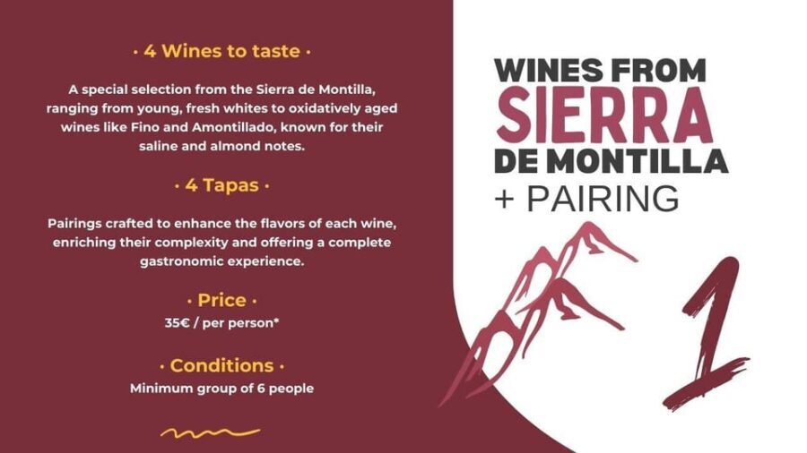 Córdoba: Sierra de Montilla Wine Tasting and Pairing - The Wines: A Complete Spectrum