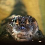 Corfu: Aquarium Entry Ticket with Guided Tour - Who Will Love This Experience?