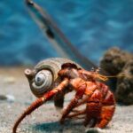 Corfu Aquarium Ticket with Tour Included - Why This Tour Works