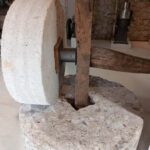 Corfu: Olive Oil and Kumquat Tasting Tour with Minivan - A Scenic Journey into Corfu’s Culinary Heart