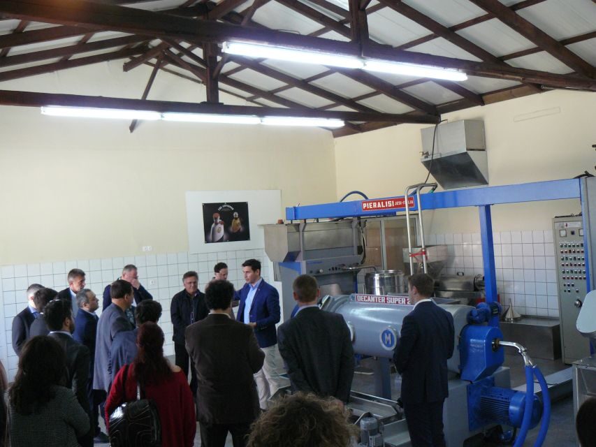 Corfu: Olive Oil Experience - The Governor's Olive Mill - Practical Details and What to Expect