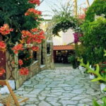 Corfu: Palaiokastritsa Swimming and Loggas Beach Sunset Tour - What’s Included & What’s Not