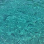 Corfu Private Boat Tour - Detailed Itinerary Breakdown