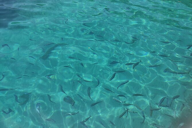 Corfu Private Boat Tour - Detailed Itinerary Breakdown