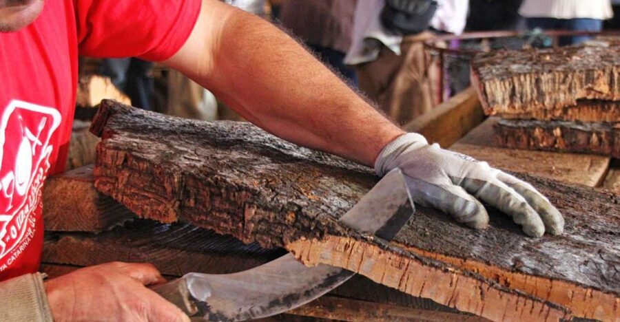 Cork Factory Tour - Why This Tour Works for Different Travelers