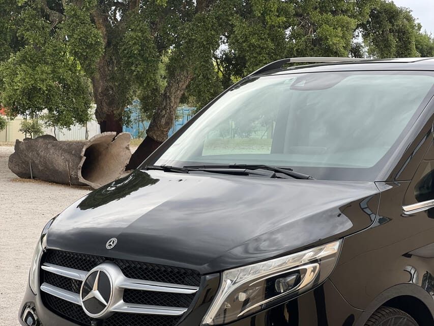 Cork Factory, Wine Tasting & Évora Visit - The Sum Up