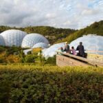 Cornwall: Eden Project Entry Ticket - Who Will Love the Eden Project?