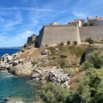 Corsica: Calvi Day Trip by Minibus from Bastia - Who Will Love This Tour?