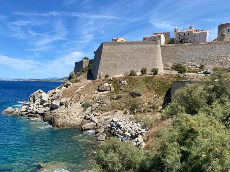 Corsica: Calvi Day Trip by Minibus from Bastia - Who Will Love This Tour?