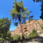 Corsica: Piana Day Trip by Minibus from Bastia - FAQs