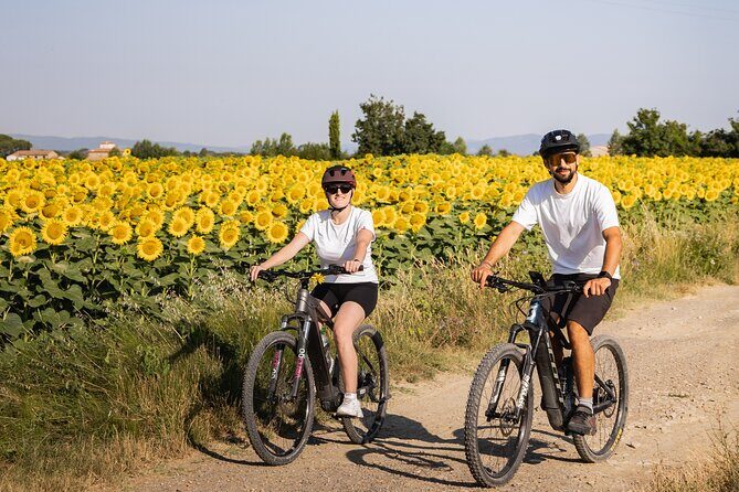 Cortona - eBike tour and wine tasting in the Val di Chiana [+40] - Who Is This Tour Best Suited For?