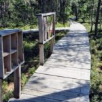 Corund, HR: Backcountry Gastro Tour with Lunch and Dinner - Practical Details and Value