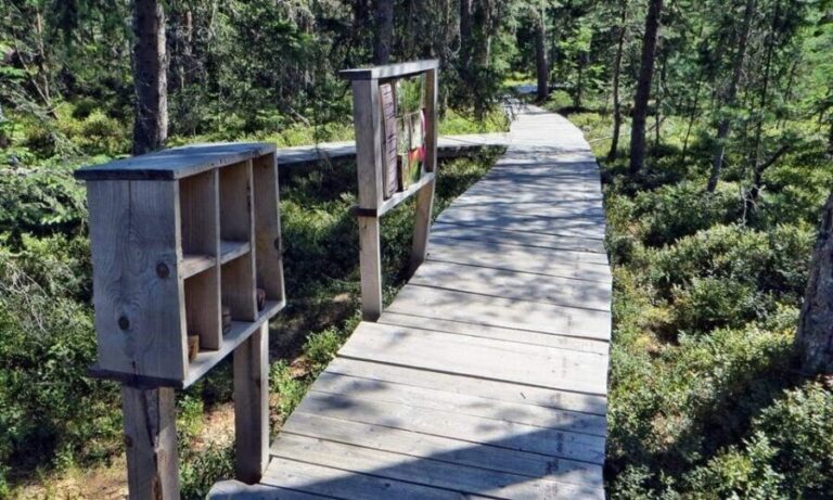 Corund, HR: Backcountry Gastro Tour with Lunch and Dinner - Practical Details and Value