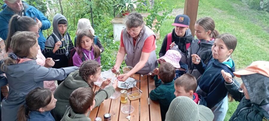 Corund, HR: Visit to bee-keeper, tasting & hive-opening - Who Will Love This Experience?