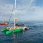 Costa Adeje: Masca and Los Gigantes Whale Watching Cruise - Who Will Love This Tour?