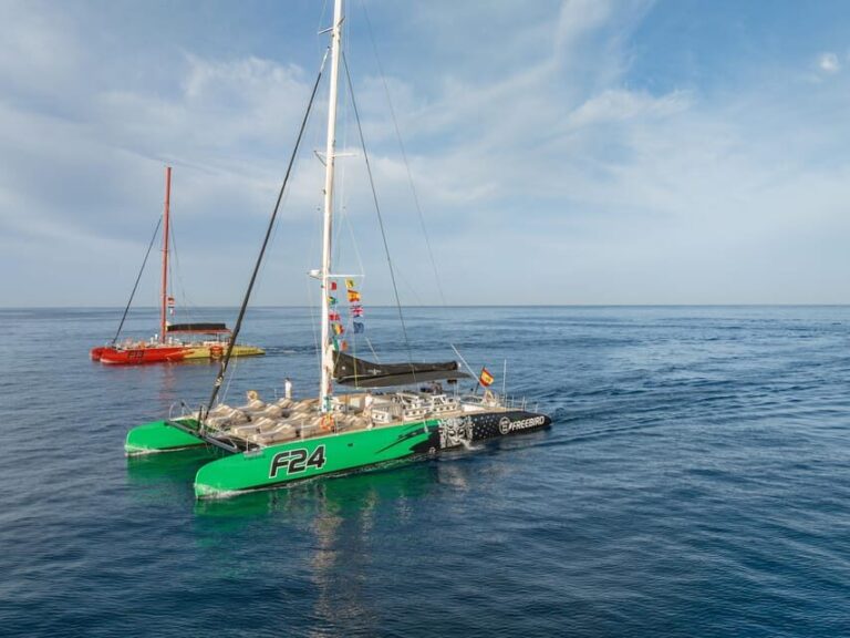 Costa Adeje: Masca and Los Gigantes Whale Watching Cruise - Who Will Love This Tour?