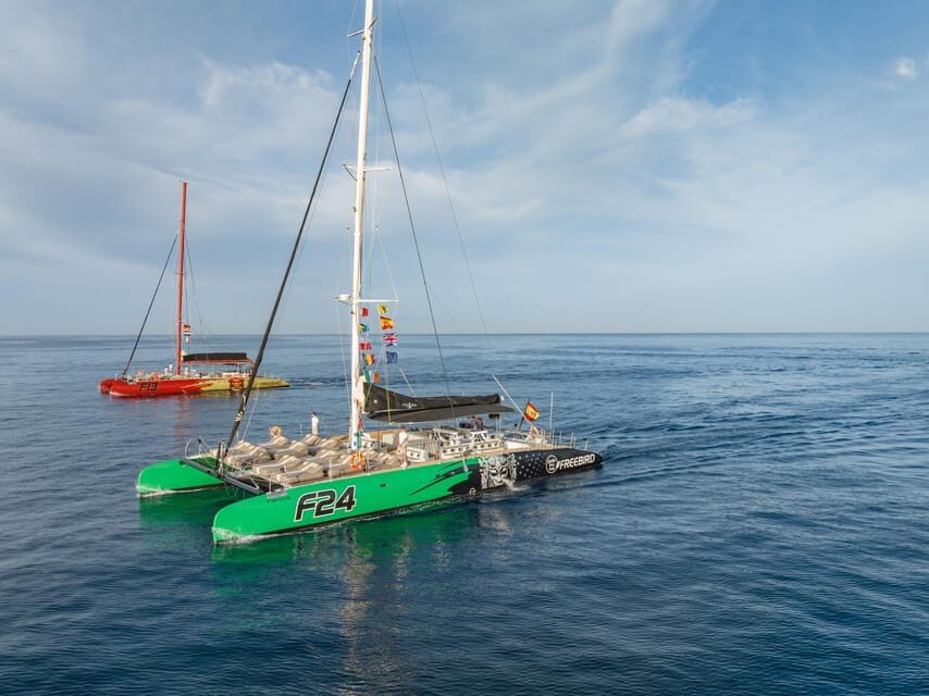 Costa Adeje: Masca and Los Gigantes Whale Watching Cruise - Who Will Love This Tour?