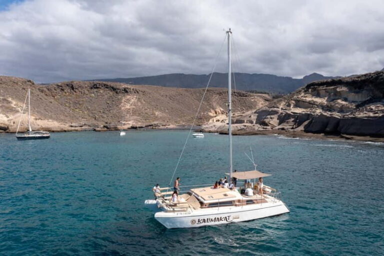 Costa Adeje: Private Catamaran Tour 22 Persons Max - Who Should Consider This Tour?
