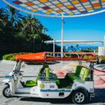 Costa Adeje: Secret Volcano Tuk Tuk Tour - The Transport and Group Dynamics