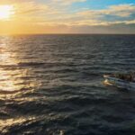 Costa Adeje: Whale and Dolphin-Watching Boat Excursion - The Sum Up