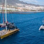 Costa Adeje: Whale Watching Cruise with Snack and Drinks - What Reviewers Say