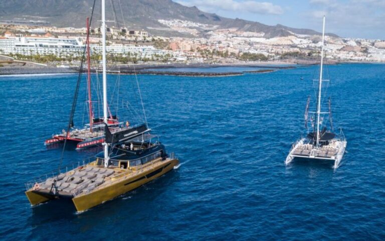 Costa Adeje: Whale Watching Cruise with Snack and Drinks - What Reviewers Say
