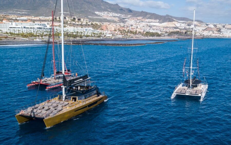 Costa Adeje: Whale Watching Cruise with Snack and Drinks - What Reviewers Say