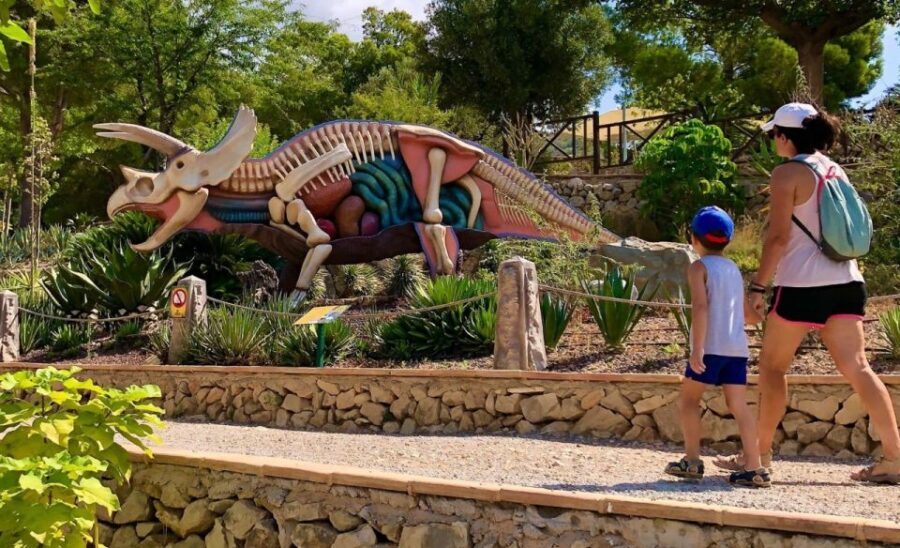 Costa Blanca: DinoPark Algar Entry Ticket - Who Should Consider Visiting?
