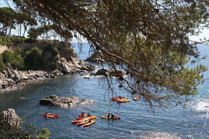 Costa Brava Guided Kayak and Snorkeling Excursion in Playa de Aro - Post-Tour Options and Local Flavor