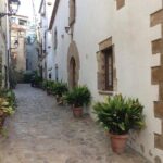 Costa Brava Scenic Hike & Tossa de Mar Small Group Tour - Authentic Experiences and Hidden Gems