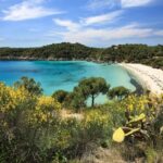 Costa del Sole Elba Island: Tour from Portoferraio and Lacona - Is This Tour Worth It? Analyzing the Value