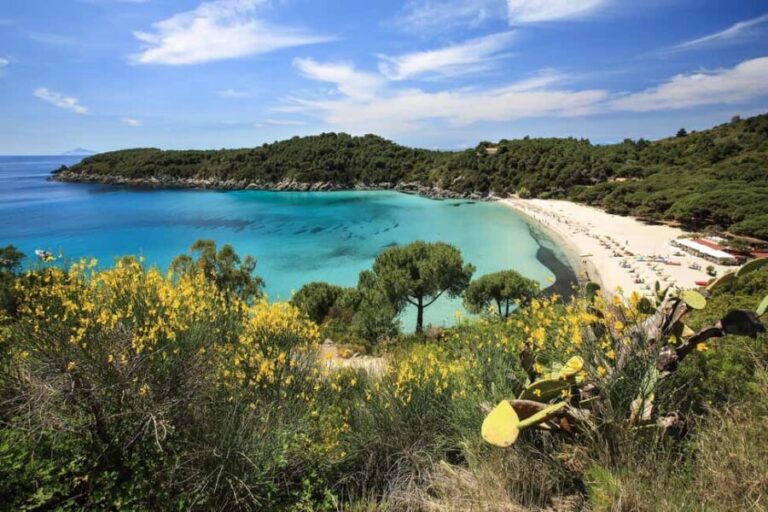 Costa del Sole Elba Island: Tour from Portoferraio and Lacona - Is This Tour Worth It? Analyzing the Value