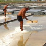 Costa Nova and Barra Beach Tour - Who Should Consider This Tour?