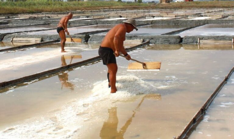 Costa Nova and Barra Beach Tour - Who Should Consider This Tour?