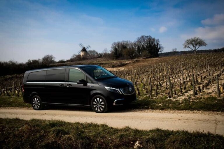 Côte de Beaune and Côte de Nuits : Private Full day Winetour - The Day Unfolds: A Detailed Breakdown