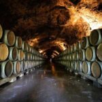 Côte de Beaune Half-Day Wine Tour from Dijon - What We Like About This Tour