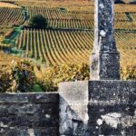 Côte de Nuits: Excursion in the heart of the vineyards - Whats Included and Practical Details