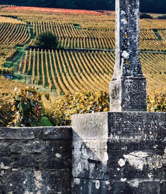 Côte de Nuits: Excursion in the heart of the vineyards - Whats Included and Practical Details